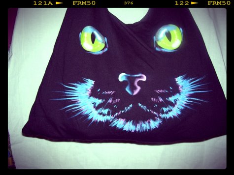 Cat_bag_close_up_large