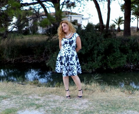 Dsc03838_large