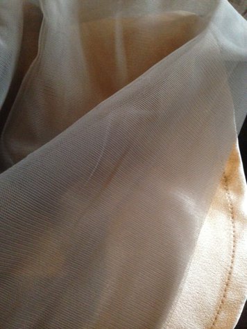 Photo_3_large
