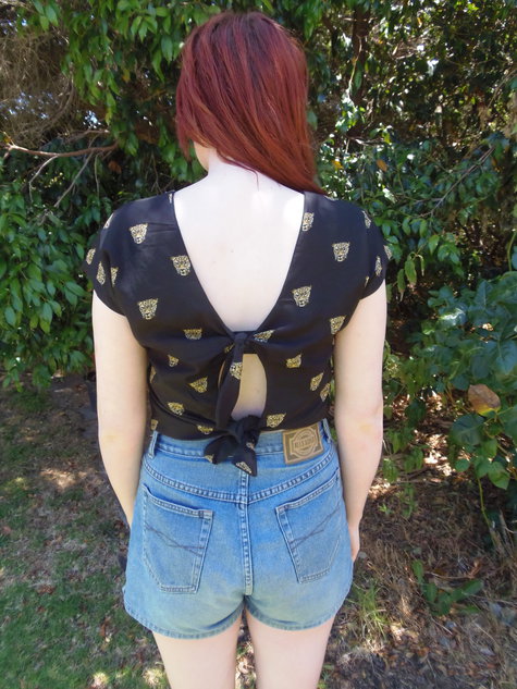 Tied_up_tiger1_gingham_girl_large