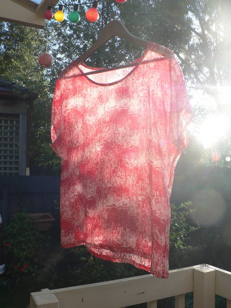 P1250200_large