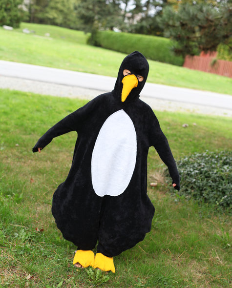 Penguin1_large