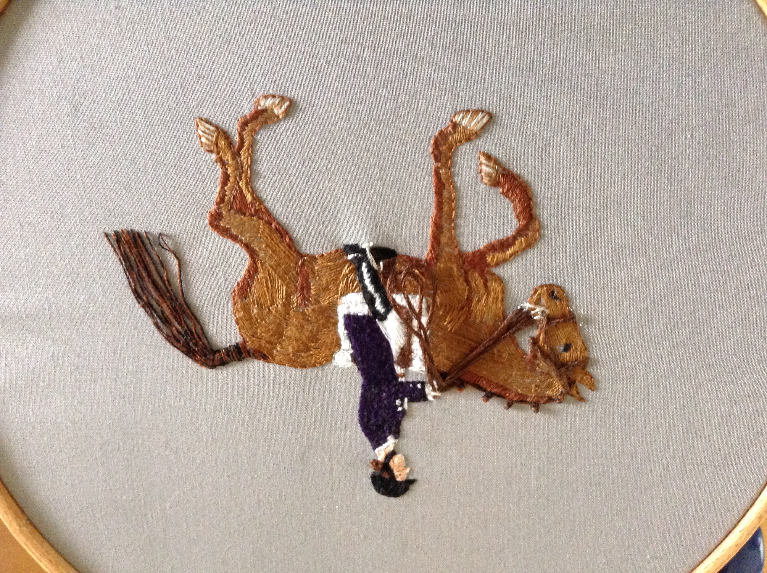 Dressage embroidery Sewing Projects