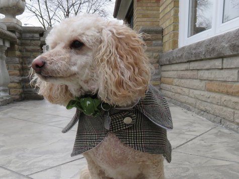 Burda_12-2011-148_sherlock_large